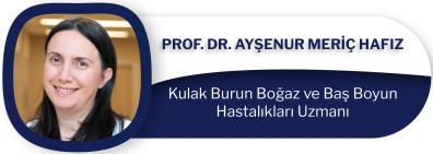 Prof.Dr.Ayşenur Meriç Hafız